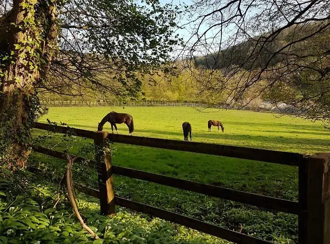 La Griotte & Spa&piscine