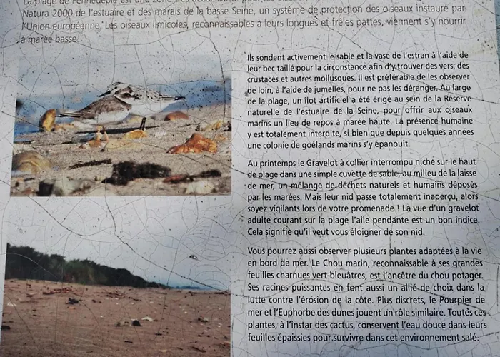 La Griotte & Spa&piscine 4* Pennedepie