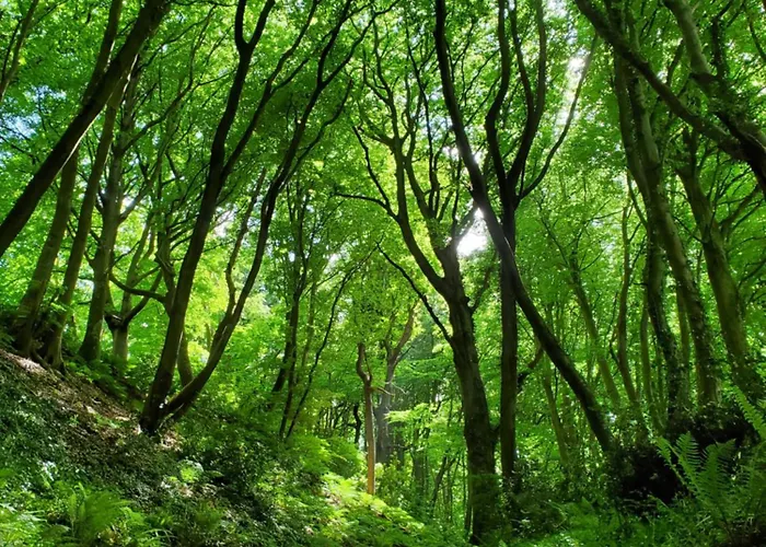 La Griotte & Spa&piscine