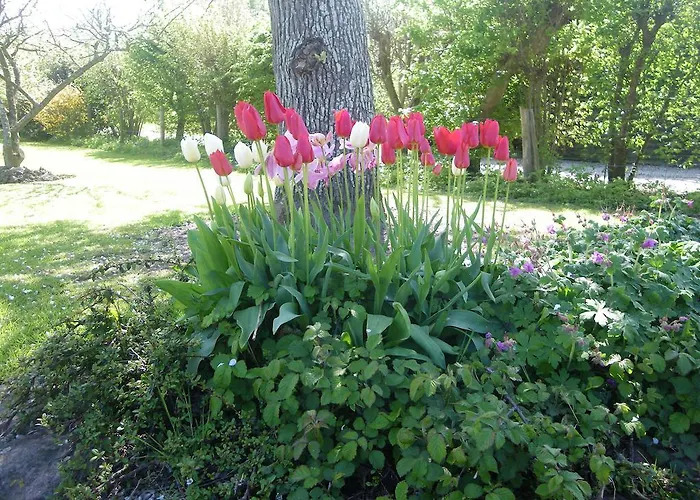 Panzió La Griotte & Spa&piscine Pennedepie