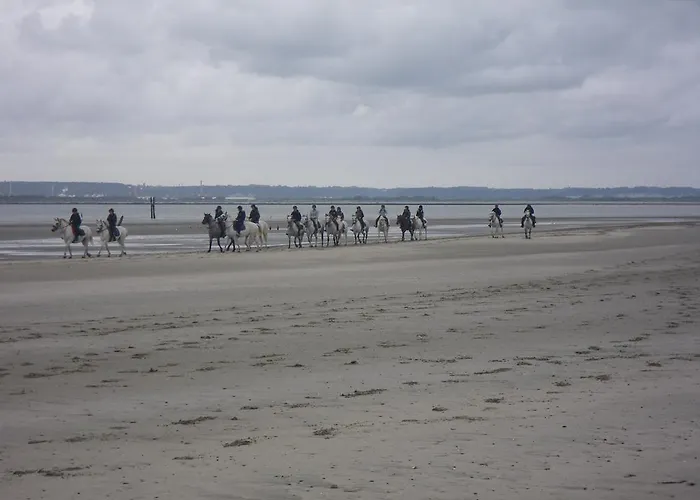 La Griotte & Spa&piscine Panzió