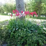 Bed & Breakfast La Griotte & Spa&piscine Pennedepie