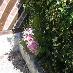 La Griotte & Spa&piscine بينيديبيه