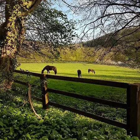 La Griotte & Spa&piscine