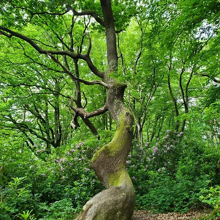 Bed and Breakfast La Griotte & Spa&piscine 4*