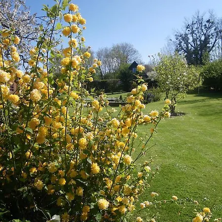 La Griotte & Spa&piscine