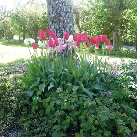 Bed and Breakfast La Griotte & Spa&piscine Pennedepie