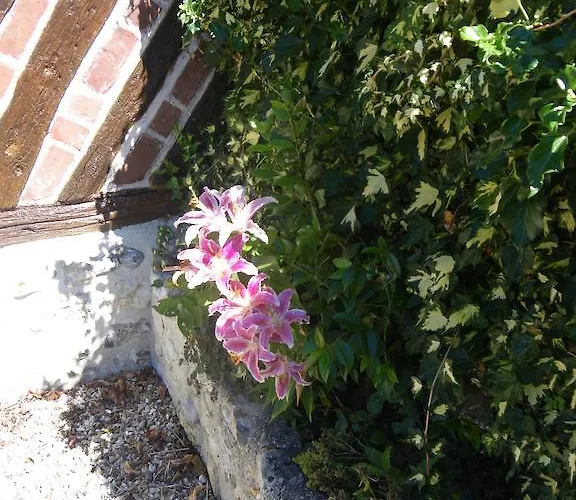 La Griotte & Spa&piscine Pennedepie